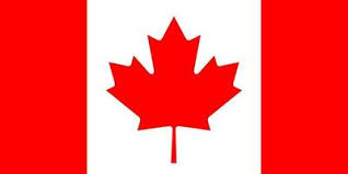 Premium Fencing Shoes - Azza Fencing